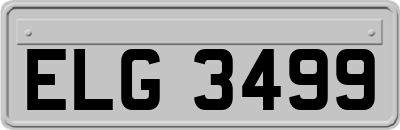ELG3499