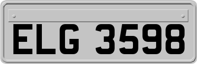 ELG3598