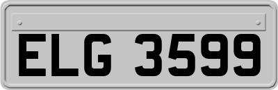 ELG3599