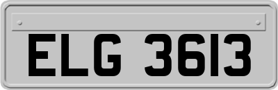 ELG3613