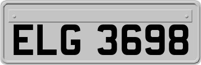 ELG3698