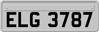 ELG3787