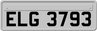 ELG3793