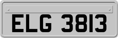 ELG3813
