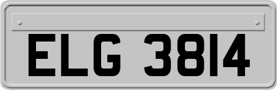 ELG3814