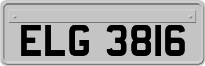 ELG3816