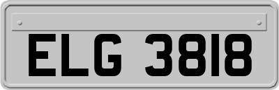 ELG3818