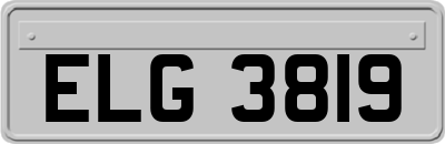 ELG3819