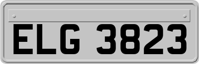 ELG3823