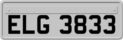 ELG3833