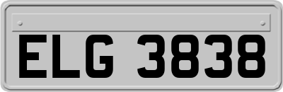 ELG3838
