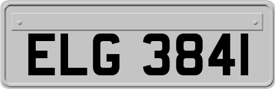 ELG3841