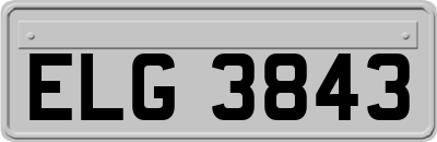ELG3843