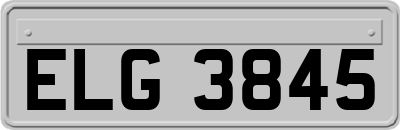 ELG3845