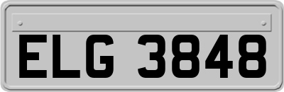 ELG3848