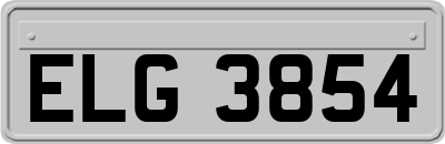 ELG3854