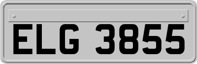 ELG3855