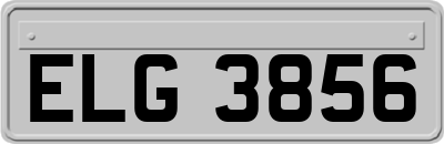 ELG3856