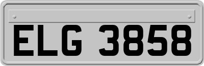 ELG3858
