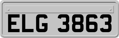 ELG3863