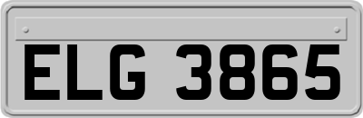 ELG3865