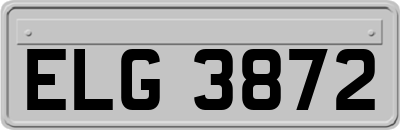 ELG3872