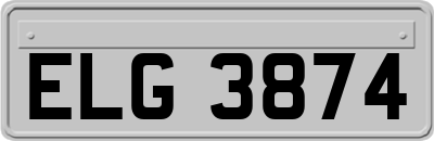 ELG3874