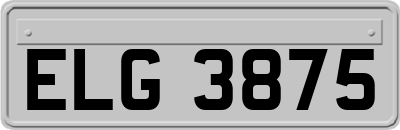 ELG3875