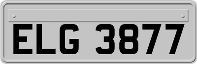 ELG3877
