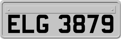 ELG3879