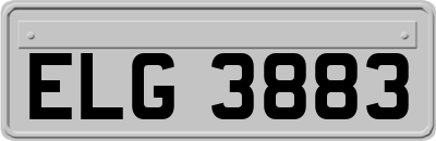 ELG3883