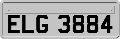 ELG3884