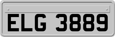 ELG3889