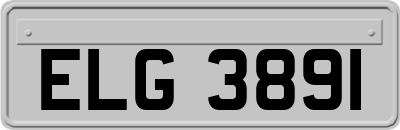 ELG3891