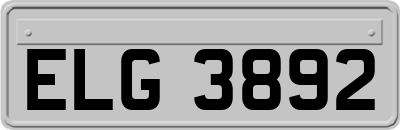 ELG3892