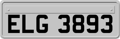 ELG3893