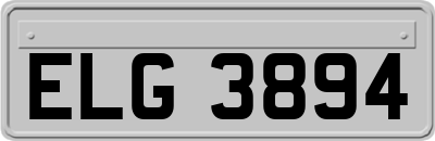 ELG3894