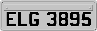 ELG3895