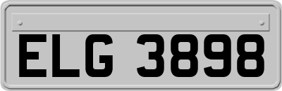 ELG3898