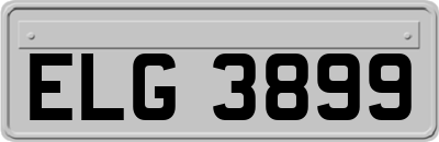 ELG3899