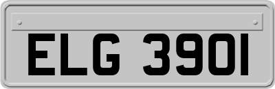 ELG3901