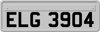 ELG3904