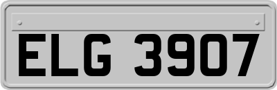 ELG3907
