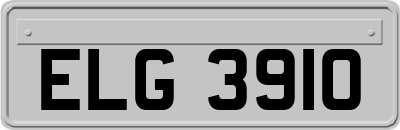 ELG3910