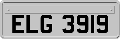 ELG3919