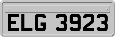 ELG3923