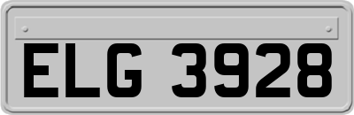 ELG3928
