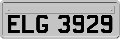 ELG3929