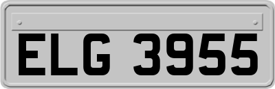 ELG3955
