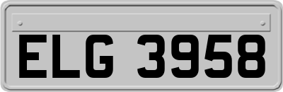 ELG3958